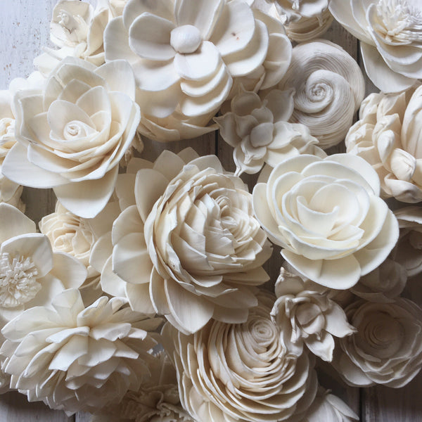 Cream Sola Flower Assortment - set of 50 - sola wood flowers wholesale
