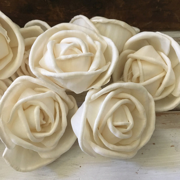 Rosa - set of 12 - multiple sizes available