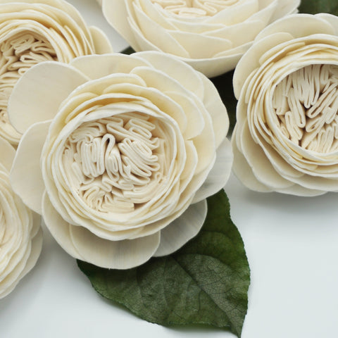 Cabbage Rose - Bulk Wholesale 100 Pack - sola wood flowers wholesale