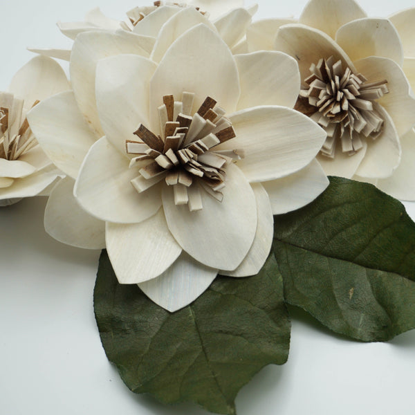 Twinkle - set of 12 - multiple sizes available - - sola wood flowers wholesale