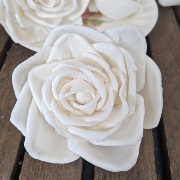 Thelma- sold by the dozen - multiple sizes - sola wood flowers wholesale