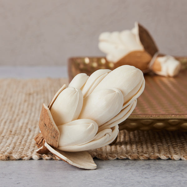 Sola Pinecones- Sold by the dozen
