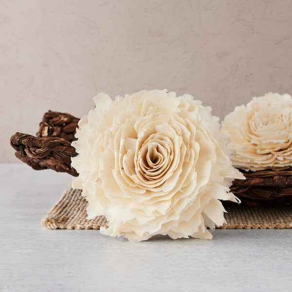 Sophia | X-Large | Set of 3