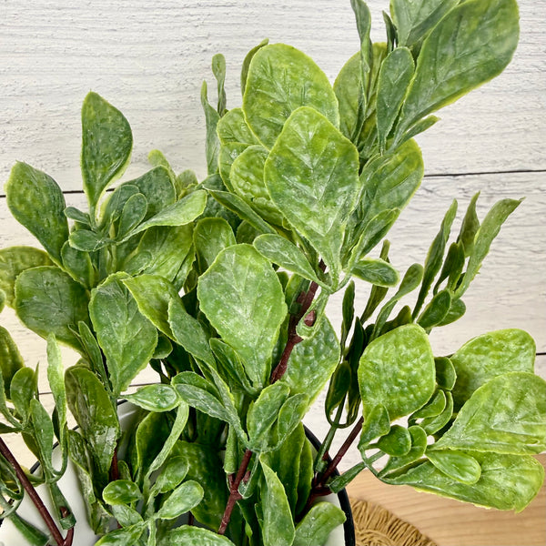 Arabian Wax Leaf | Faux Greenery Stem