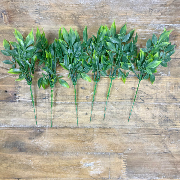 Weeping Fig Ficus - Faux Greenery / Filler