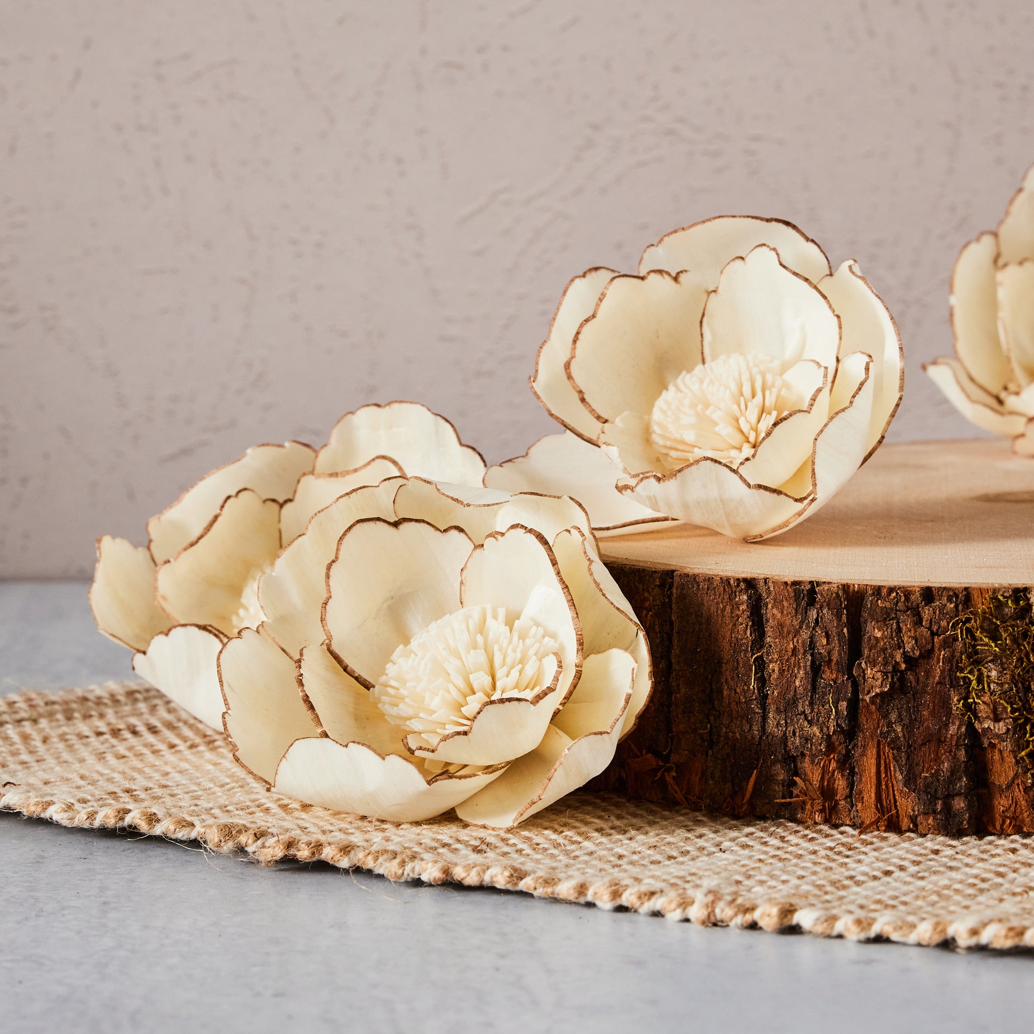 Whistledown | set of 6 |  3 inches