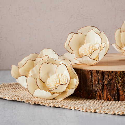 Whistledown | set of 6 |  3 inches