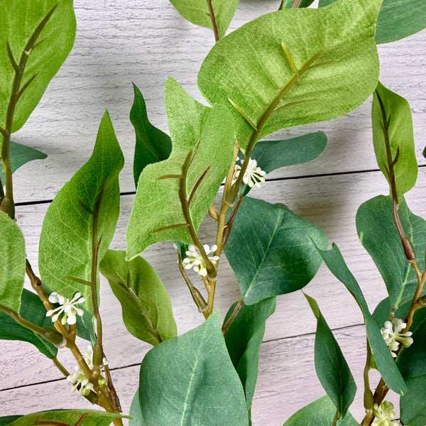 Roundleaf Dogwood - Seeded | Faux Greenery