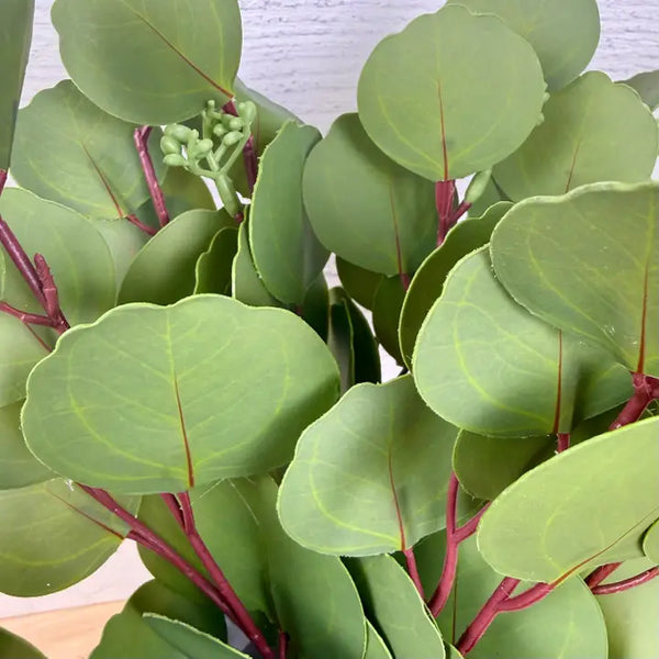 Retouch Silver Doller Eucalyptus - Faux Greenery Bundle