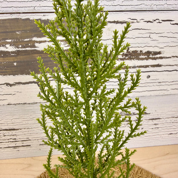 Juniper Leaf Spray - Faux Greenery / Filler
