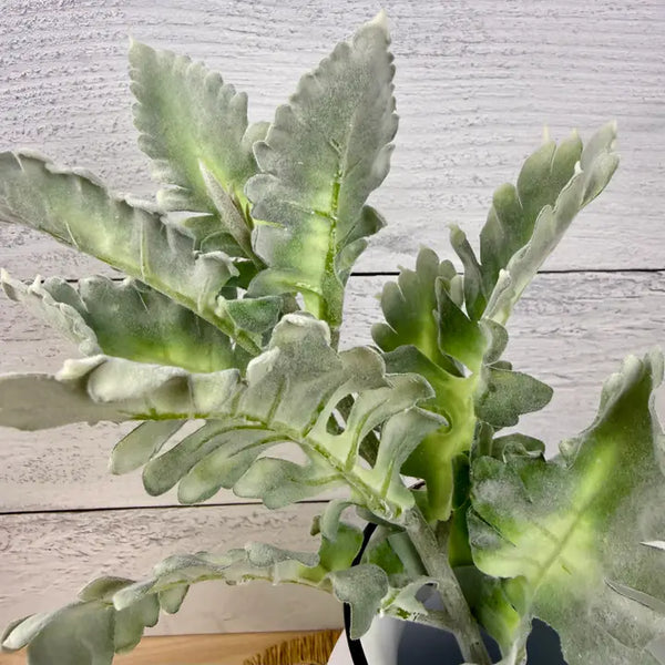 Sage Green Leafy Dusty Miller | Faux Greenery