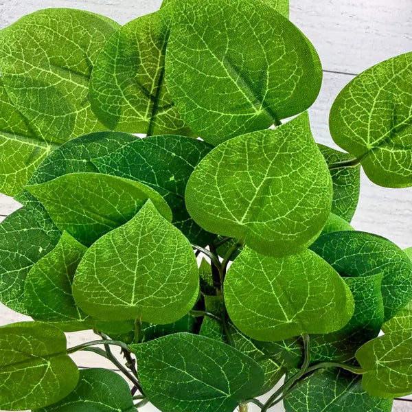 Heartleaf | Faux Greenery