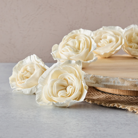 Antique Carnation| 2.5 inches | Set of 12