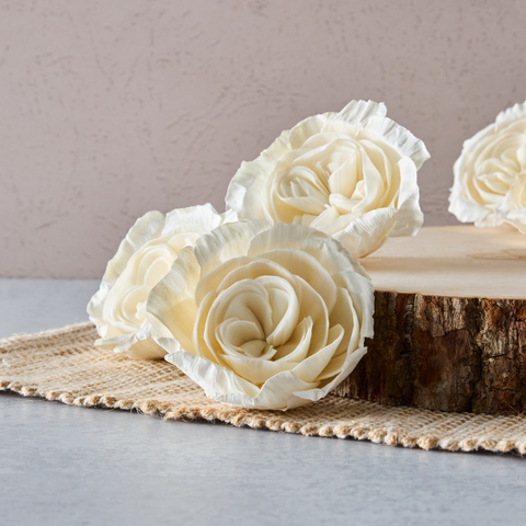Antique Carnation| 3 inches | Set of 6
