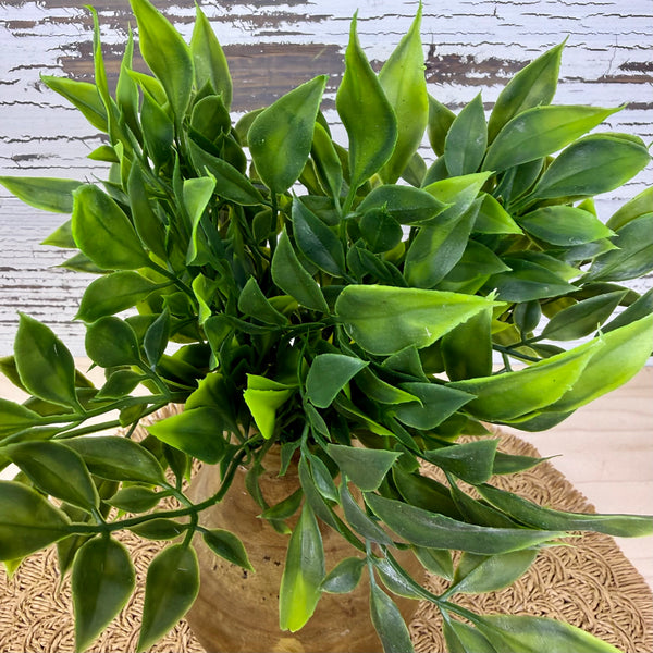 Weeping Fig Ficus - Faux Greenery / Filler