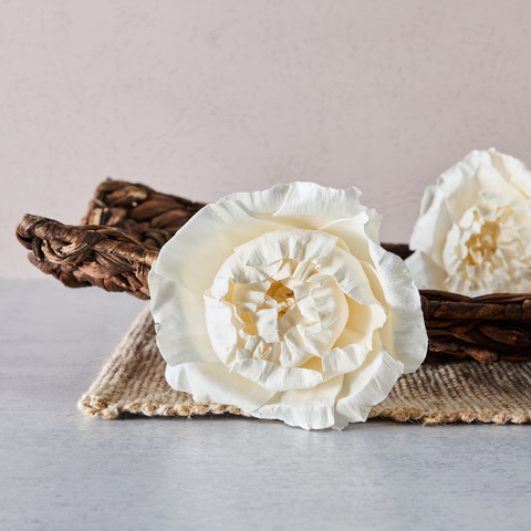 Garden Treasure| 4 inches | Set of 3