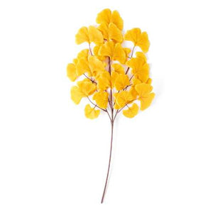 Case of Ginkgo Sunrise Artificial Greenery and Filler 24” Stem - 250 stems