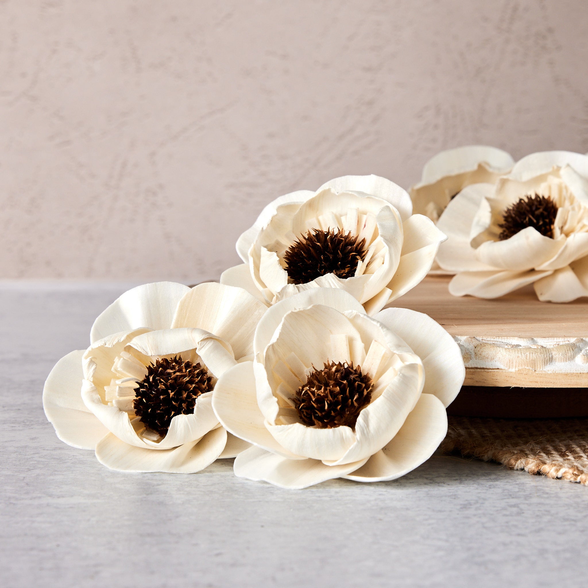 Charlotte™ - set of 12 - 2.5 inches