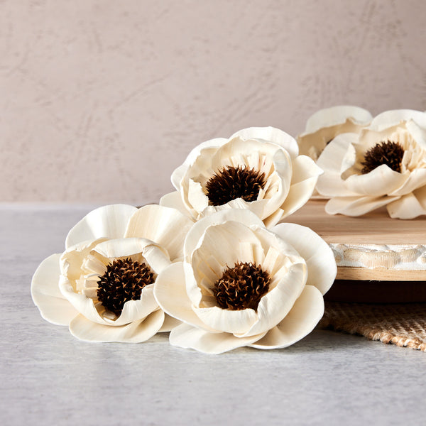Charlotte™ - set of 12 - 2.5 inches