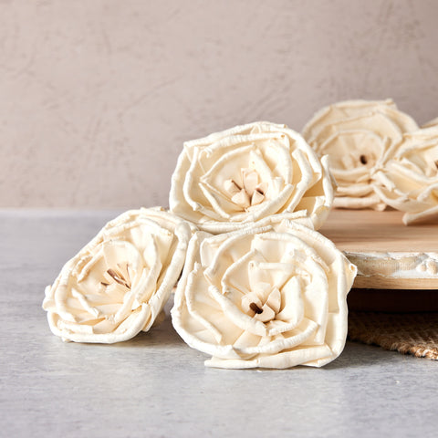 Doris- set of 12 - Multiple Sizes