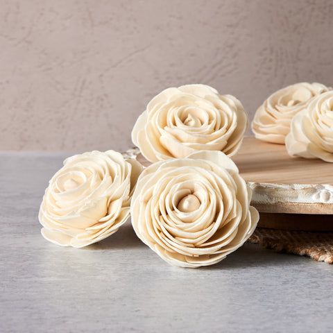 Ranunculus - set of 12 - multiple sizes available