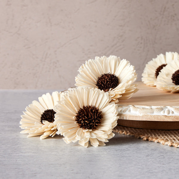 Sunflower - set of 12 - multiple sizes available