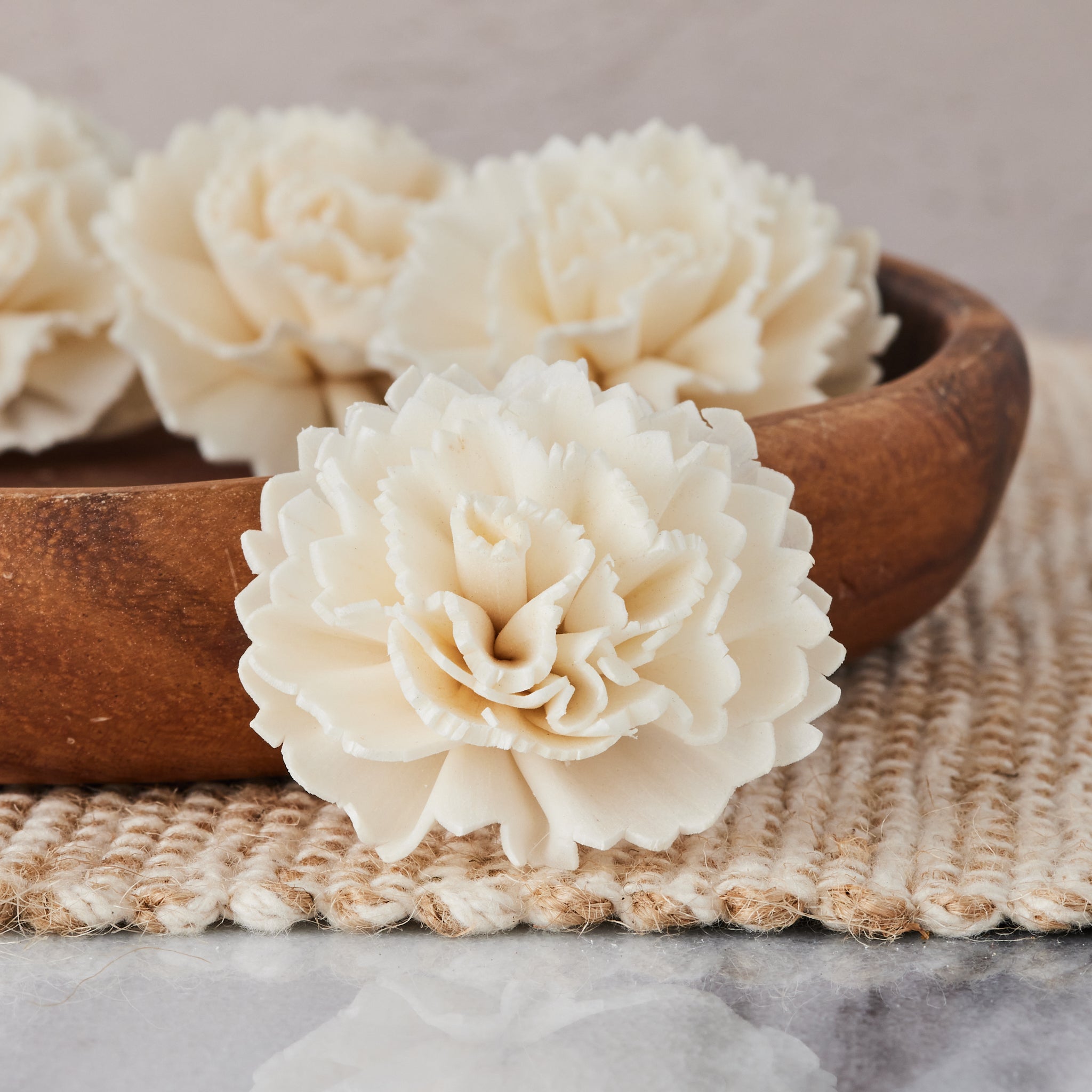 Carnation Flower - set of 12 - multiple sizes available