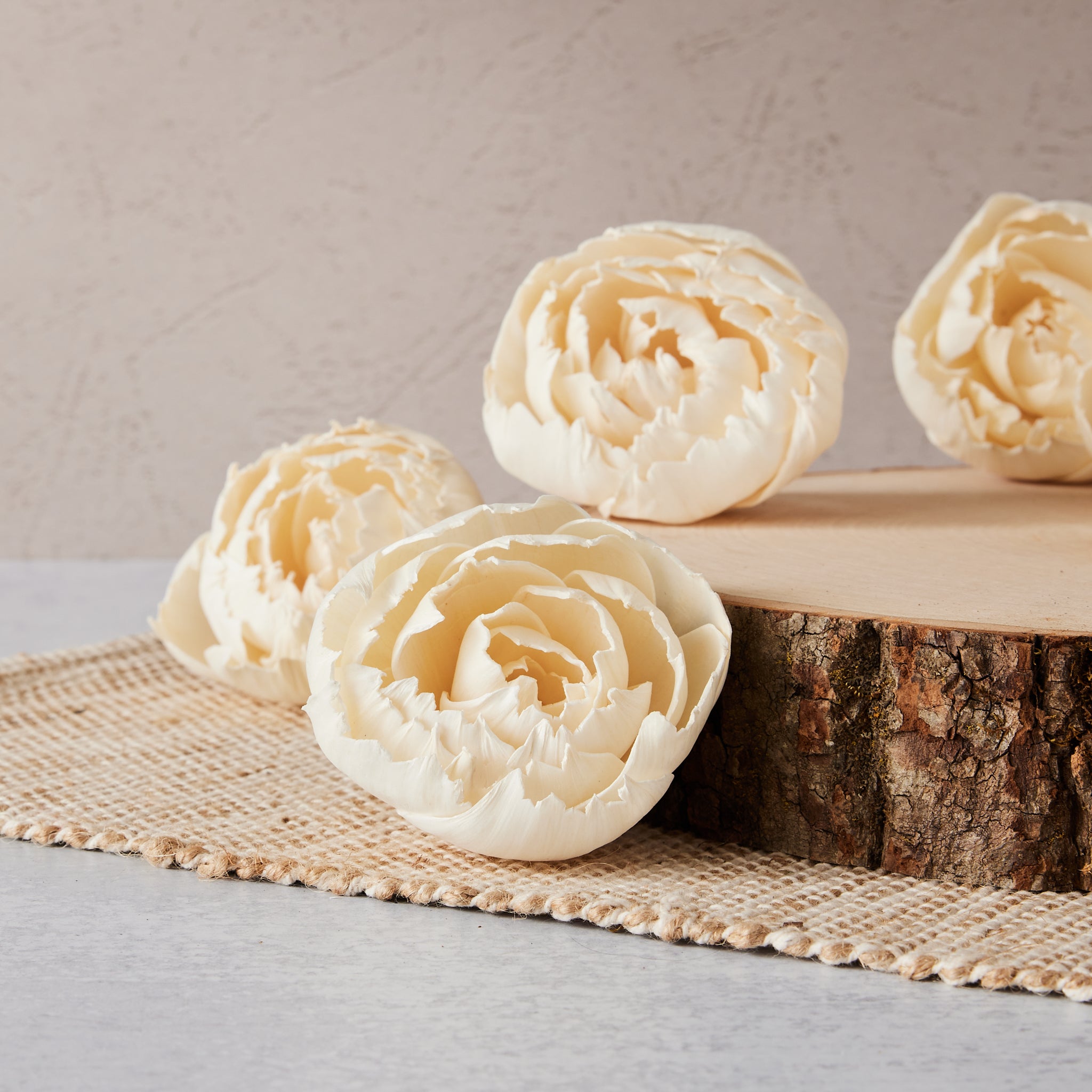Ruffled Peony™ - set of 12 - multiple sizes available