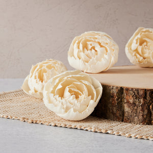 Ruffled Peony™ - set of 12 - multiple sizes available