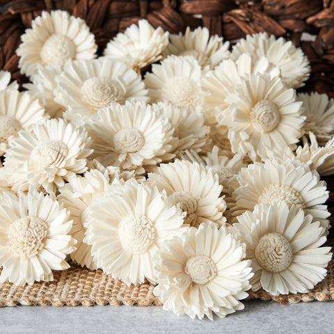Daisy - 1.5 inch - Bulk Wholesale 100 Pack