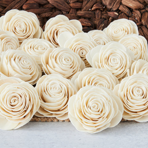 American Beauty Flower - Bulk Wholesale 100 Pack - multiple sizes