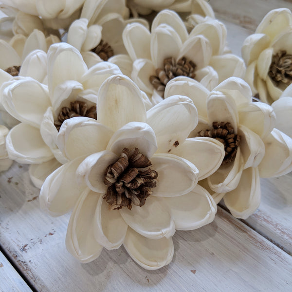 Spellbound - Multiple Sizes - sola wood flowers wholesale