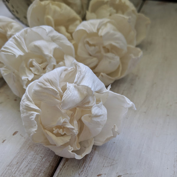 Peony Bud - 2.5 inch- sets of 12 - sola wood flowers wholesale