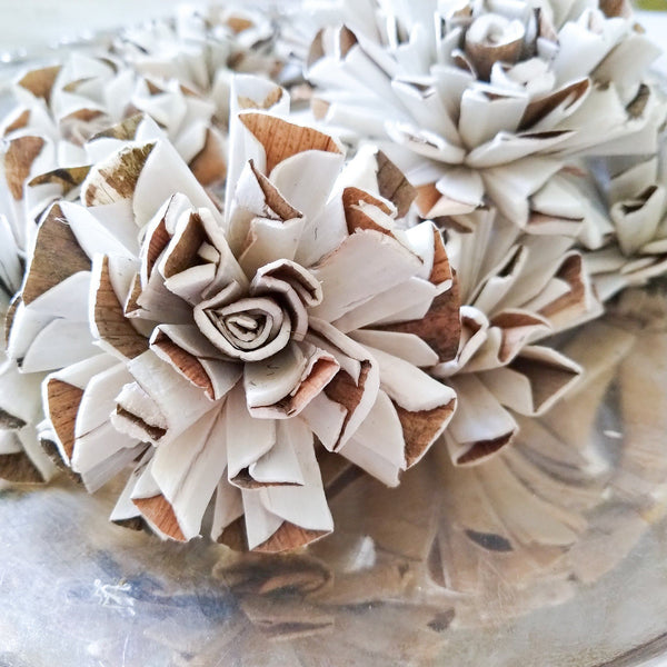 Vanilla Twist - set of 12-  2.5 inches - sola wood flowers wholesale
