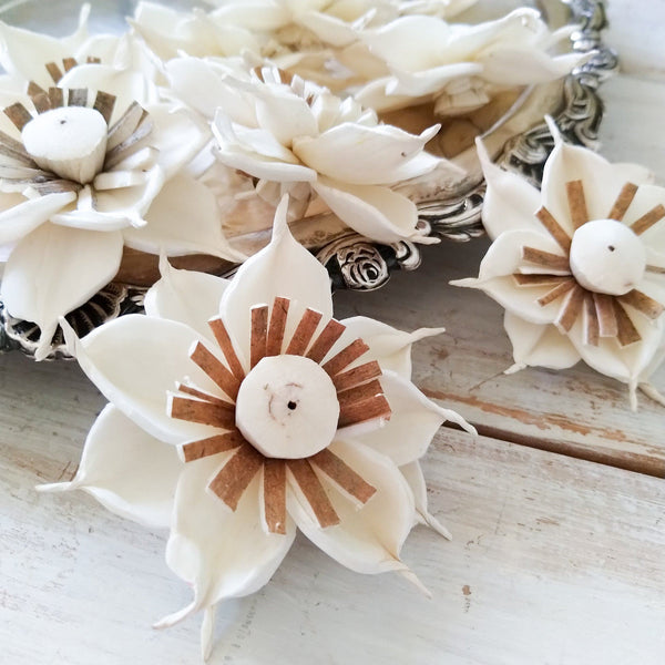 Starburst  - set of 12-  2.5 inches - sola wood flowers wholesale