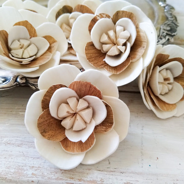 Charm - set of 12-  2.5 inches - sola wood flowers wholesale