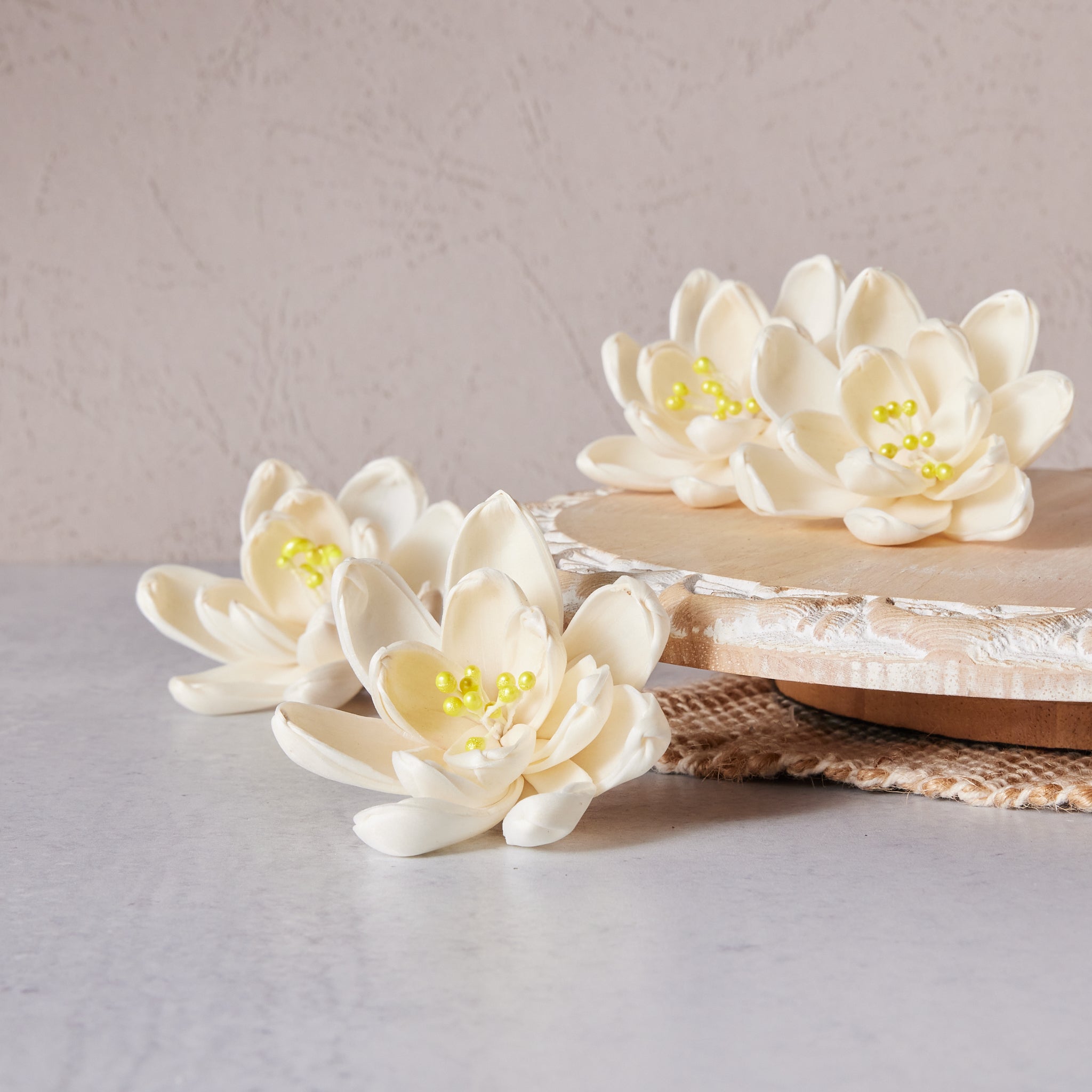 Little Cutie™ Flower  Multiple sizes available