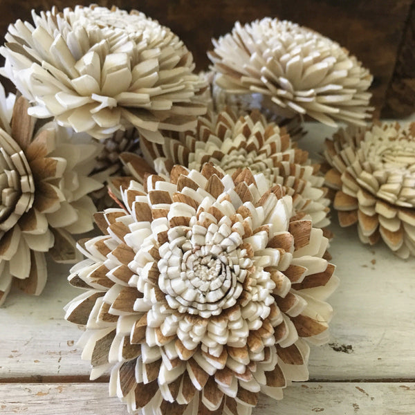 Cocoa- Set of 12 - multiple sizes - sola wood flowers wholesale