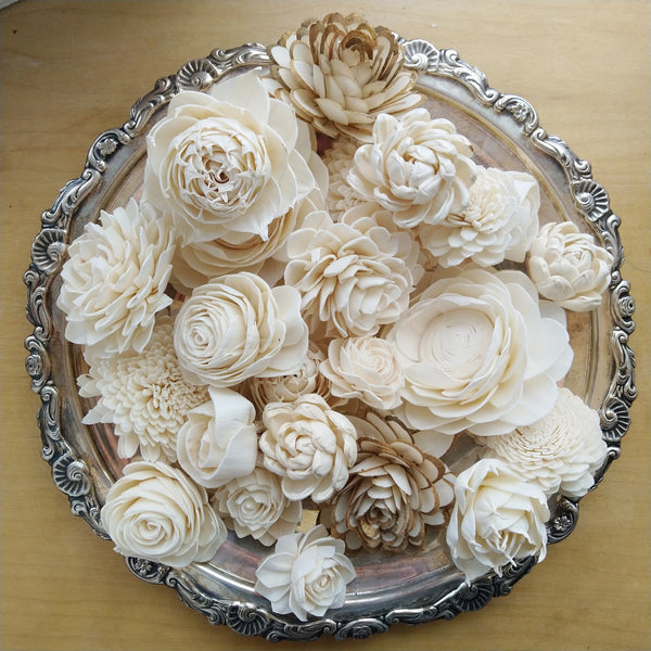 Succulent Assortment - sets of 50 - sola wood flowers wholesale