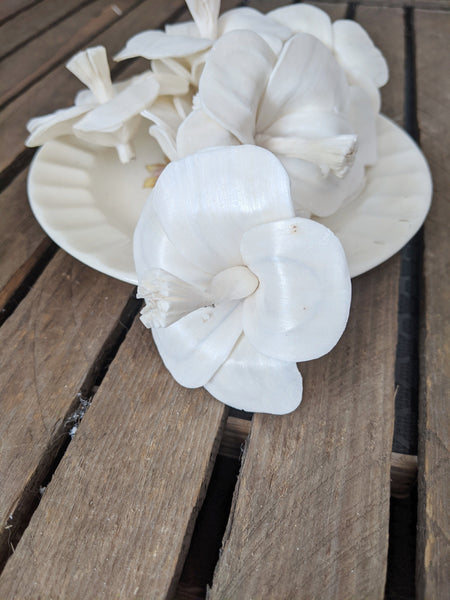 Hibiscus - set of 12 - 2.5 inches - sola wood flowers wholesale