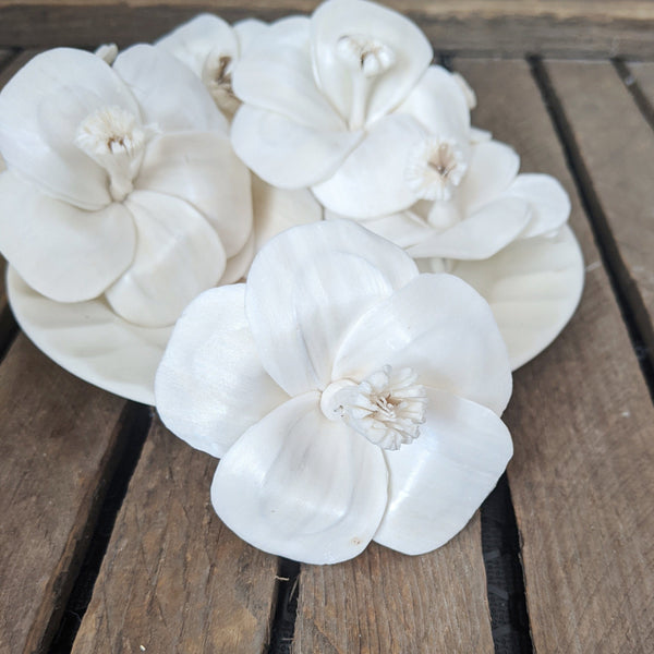 Hibiscus - set of 12 - 2.5 inches - sola wood flowers wholesale