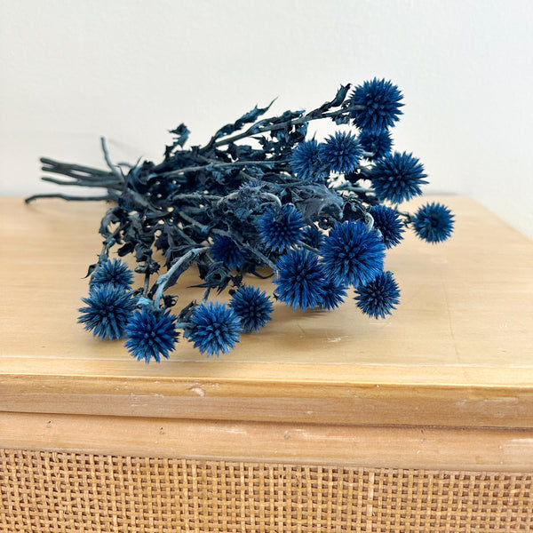 Blue Echinops - Dried -4oz