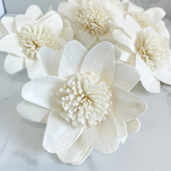 Ruby ™ - set of 6 - 3 inches