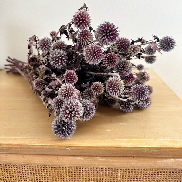 Purple Echinops | Dried Filler