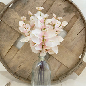 Blush Eucalyptus Bush | Premium Collection