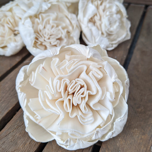 Juliet Rose- set of 12 - multiple sizes - sola wood flowers wholesale