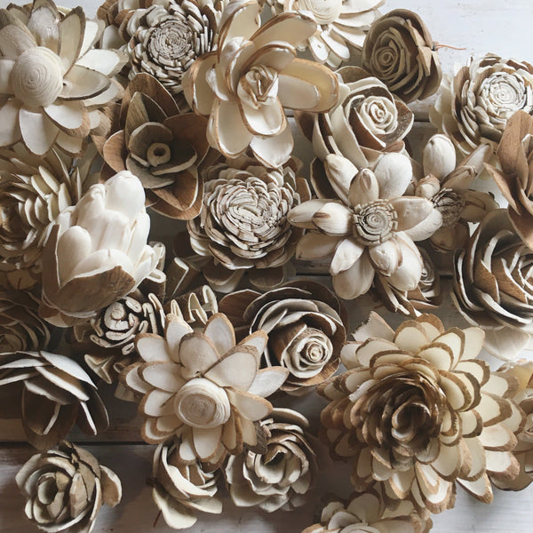 Skin Sola Flower Assortment - set of 50 - sola wood flowers wholesale