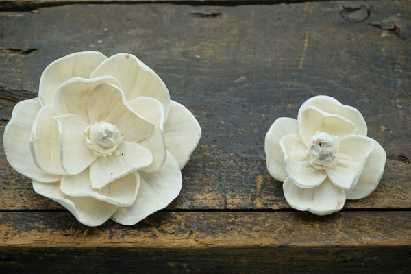 Magnolia Flower  - set of 12 - multiple sizes available - - sola wood flowers wholesale