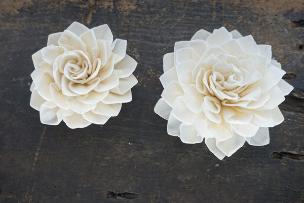 Miss Ivy  - set of 12 - multiple sizes available - - sola wood flowers wholesale