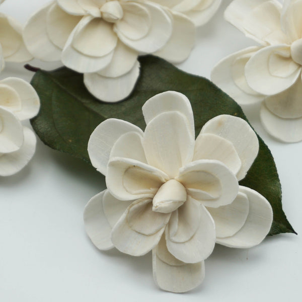 Alice Flower  - set of 12- multiple sizes available - - sola wood flowers wholesale